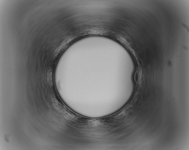 X0000100410249200806271450