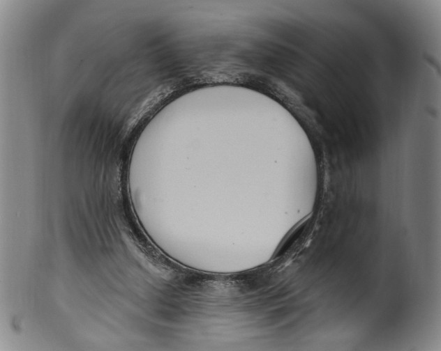 X0000100410250200806271450