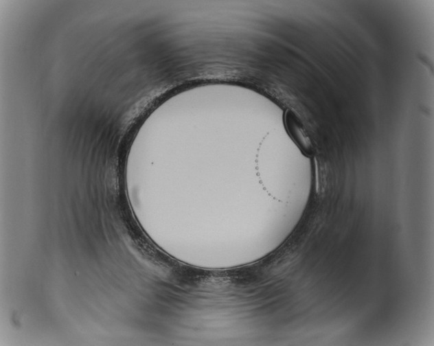 X0000100410252200806271450