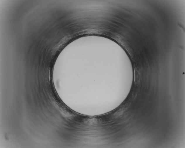 X0000100410253200806271450