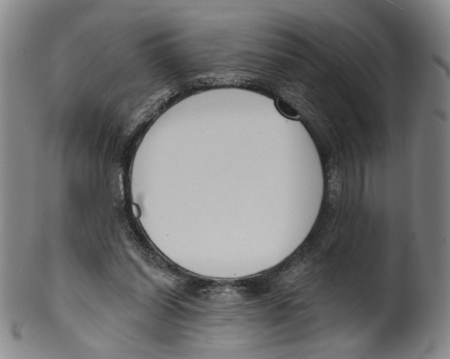 X0000100410254200806271450