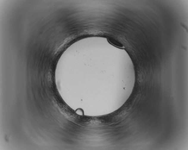 X0000100410256200806271450