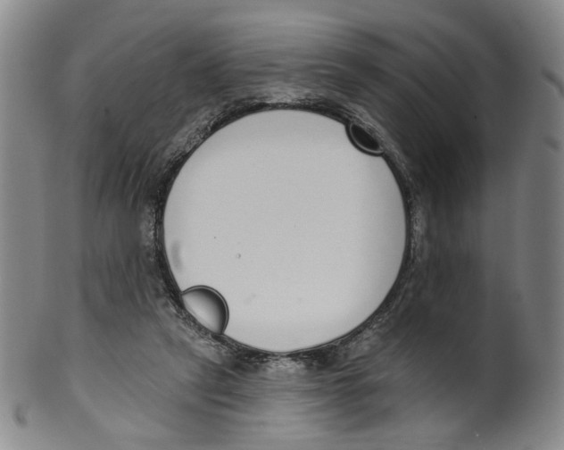 X0000100410257200806271450