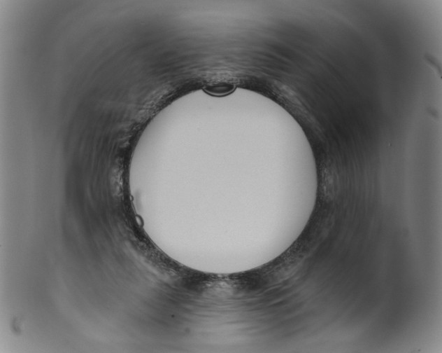 X0000100410259200806271450