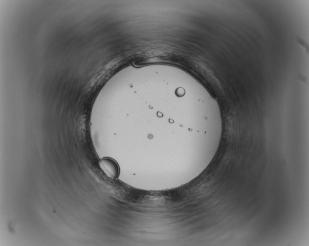 X0000100410260200806271450