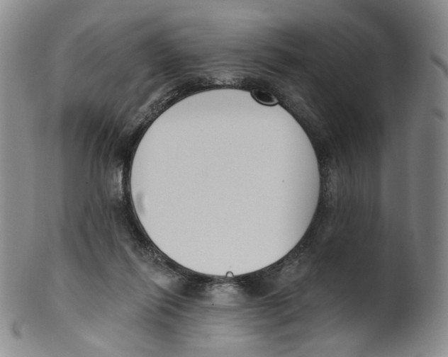 X0000100410262200806271450