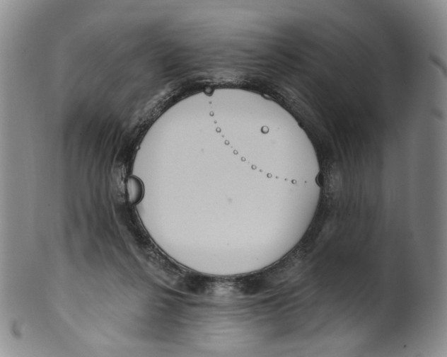 X0000100410264200806271450