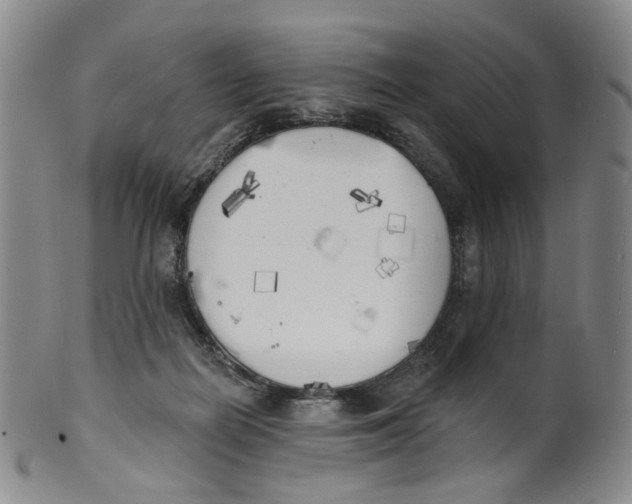 X0000100410266200806271450