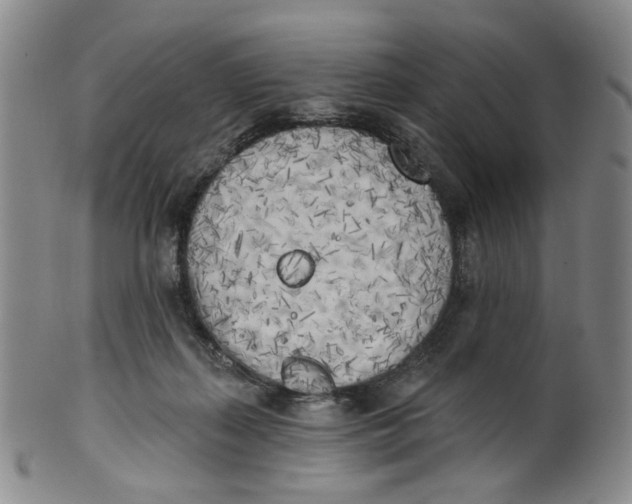 X0000100410267200806271450