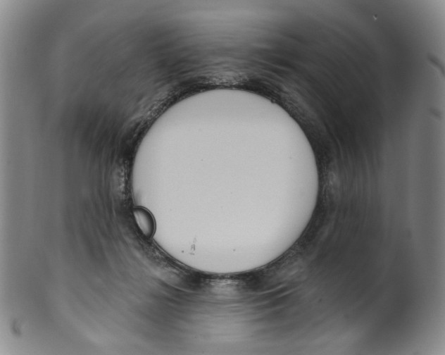 X0000100410268200806271450