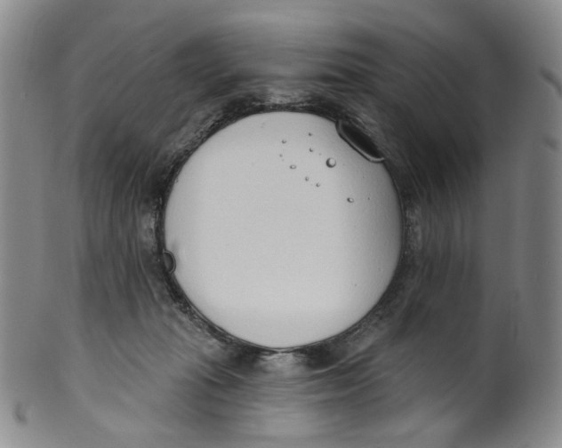 X0000100410269200806271450