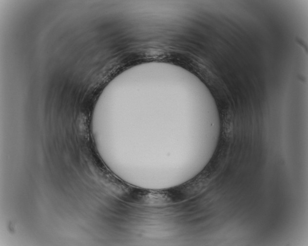 X0000100410270200806271450