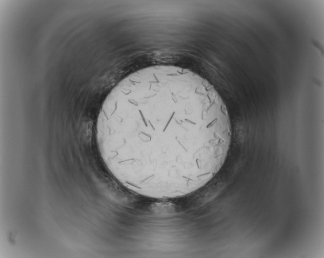 X0000100410271200806271450