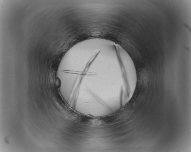 X0000100410272200806271450