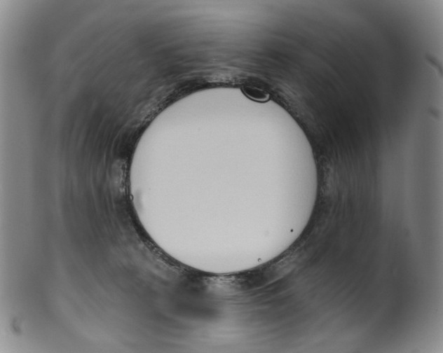 X0000100410273200806271450