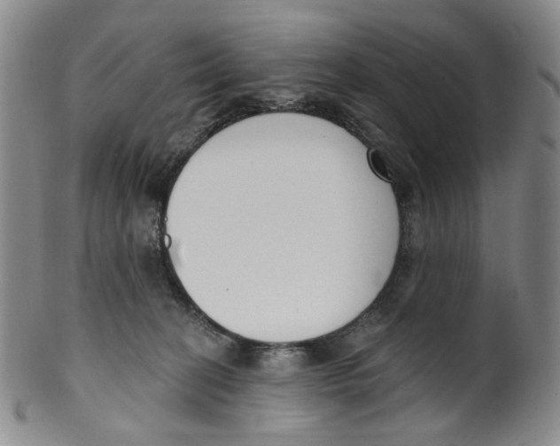 X0000100410274200806271450