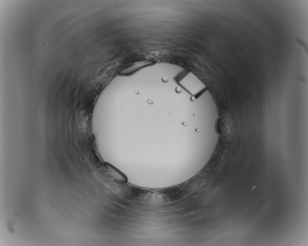 X0000100410276200806271450