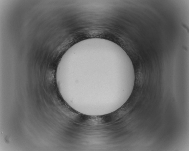 X0000100410278200806271450