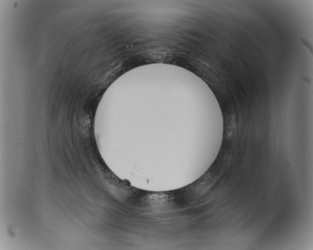 X0000100410279200806271450