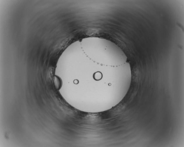 X0000100410280200806271451