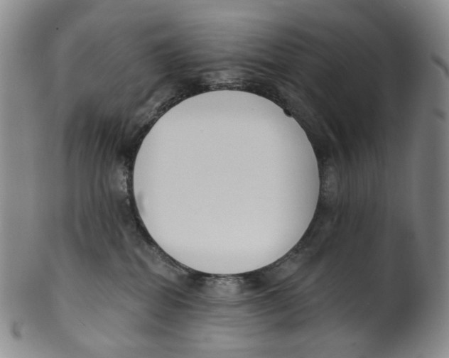 X0000100410282200806271451