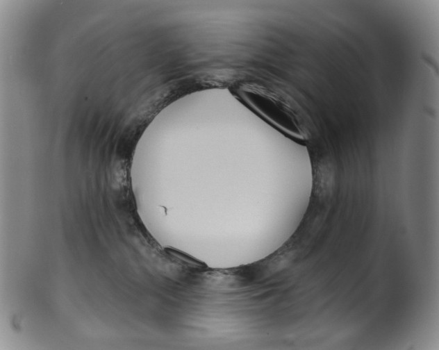 X0000100410284200806271451