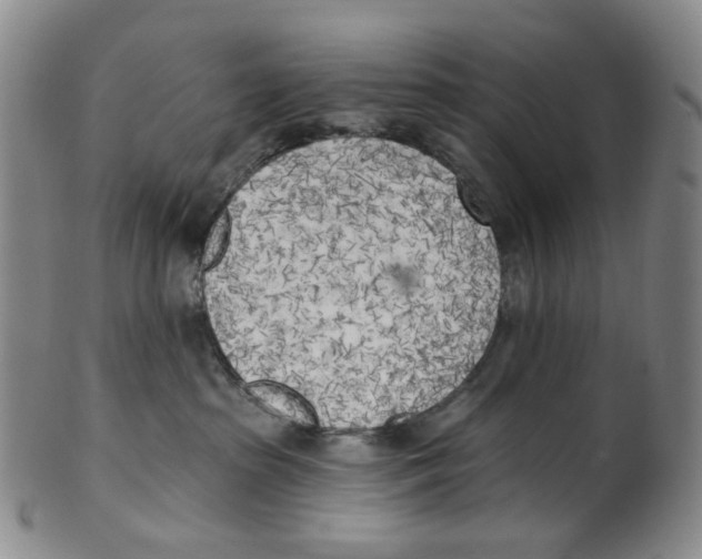 X0000100410285200806271451