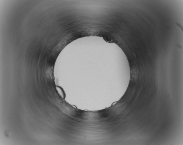 X0000100410286200806271451