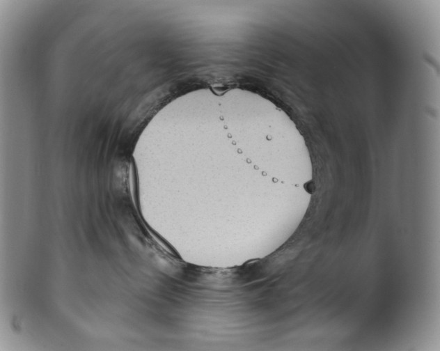 X0000100410288200806271451