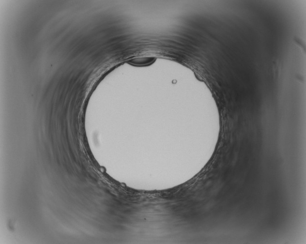 X0000100410289200806271450