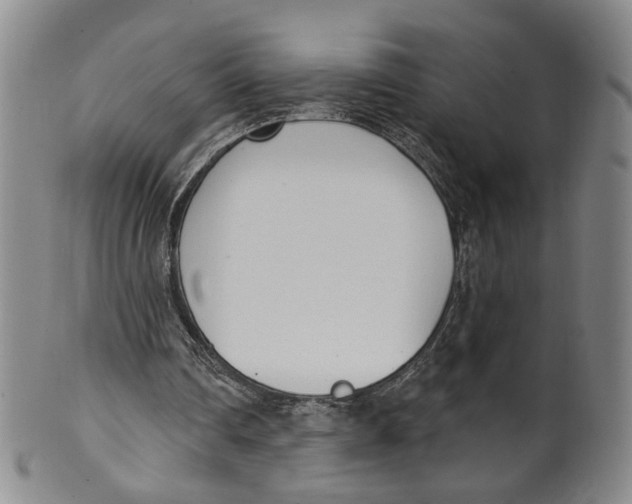 X0000100410290200806271450