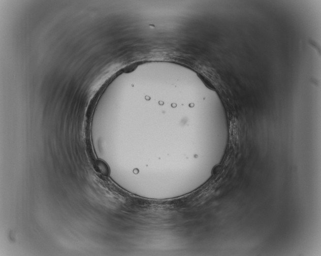 X0000100410292200806271450