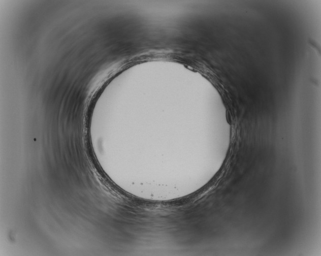 X0000100410293200806271450