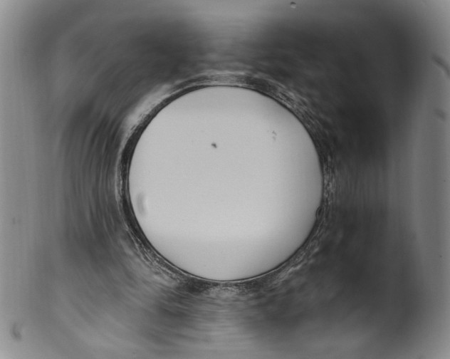 X0000100410294200806271450