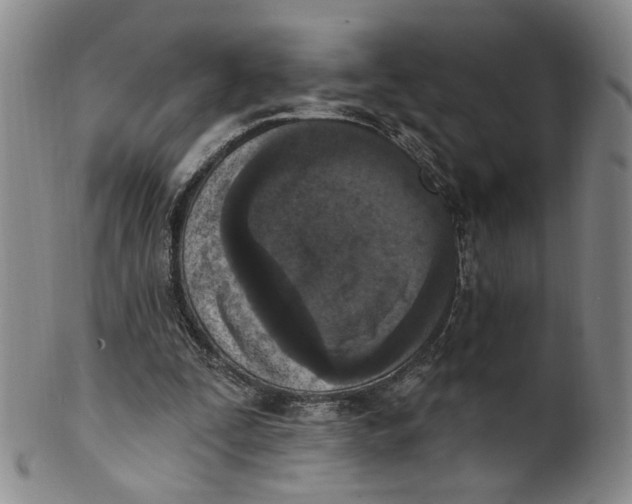 X0000100410295200806271450