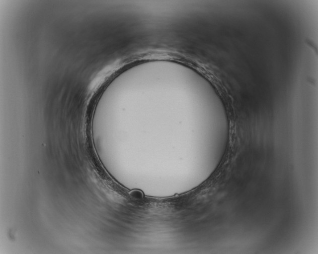 X0000100410296200806271450