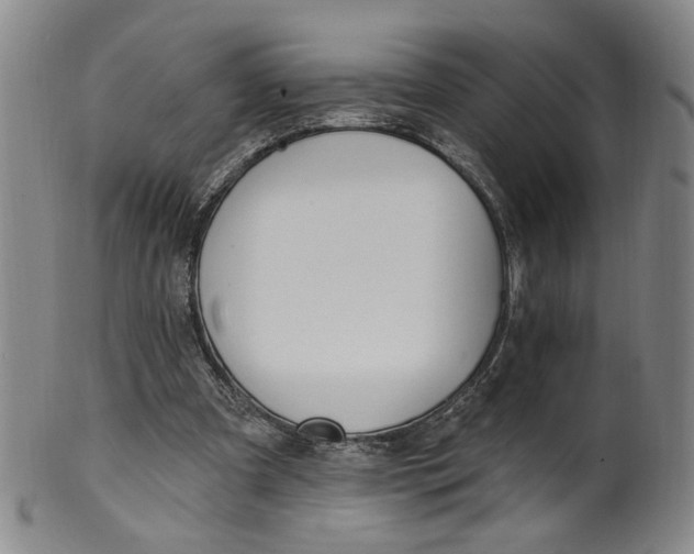 X0000100410297200806271450