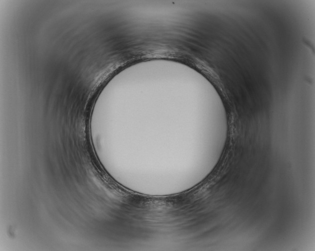 X0000100410298200806271450