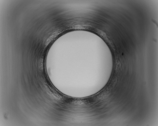 X0000100410299200806271450