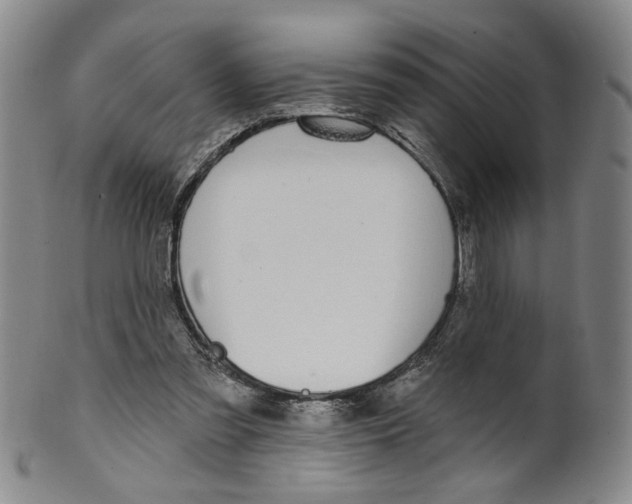 X0000100410301200806271450