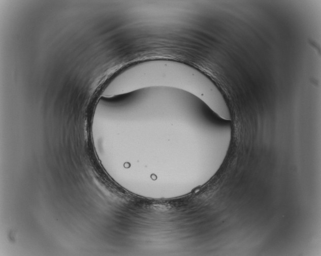 X0000100410302200806271450