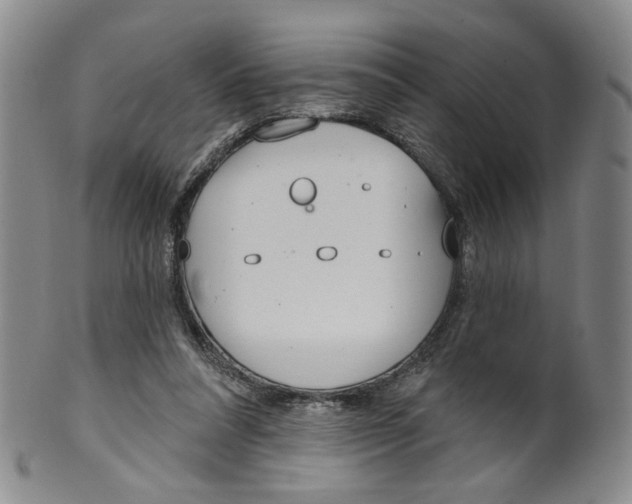 X0000100410304200806271450