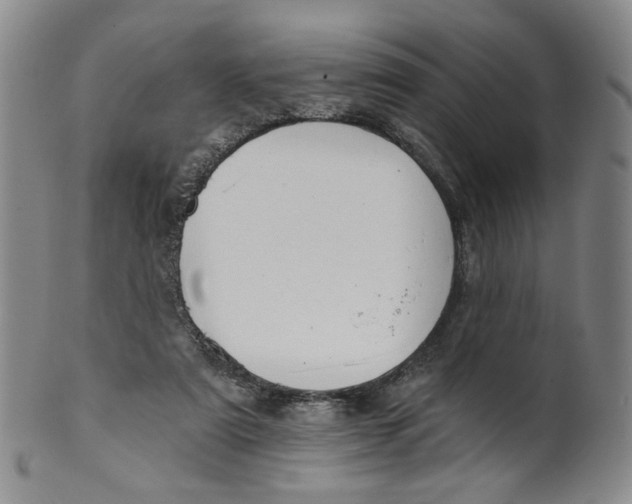 X0000100410307200806271450