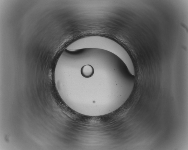 X0000100410308200806271450