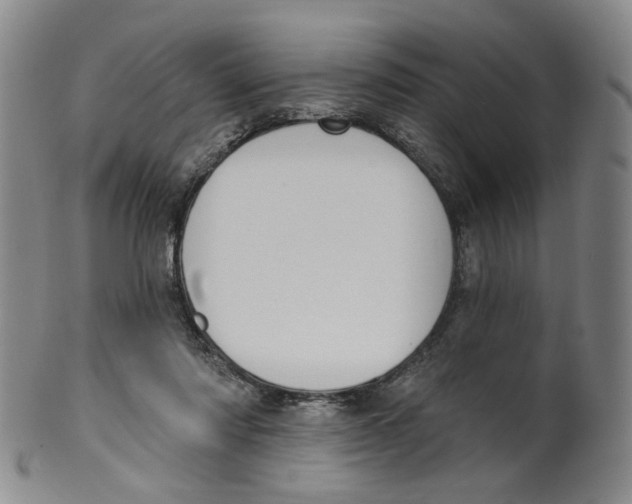 X0000100410310200806271450