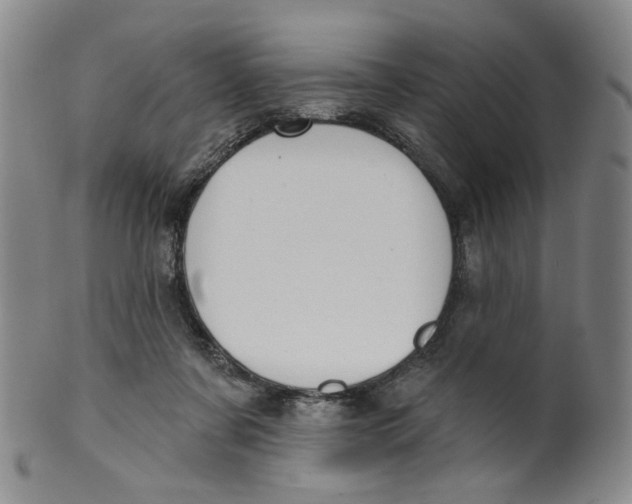 X0000100410311200806271450