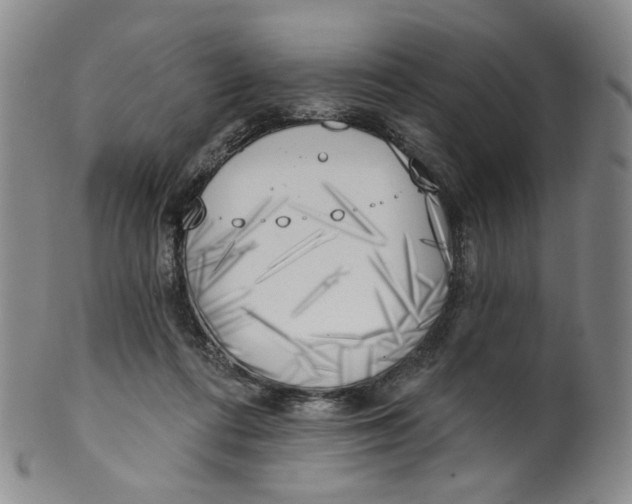 X0000100410312200806271450