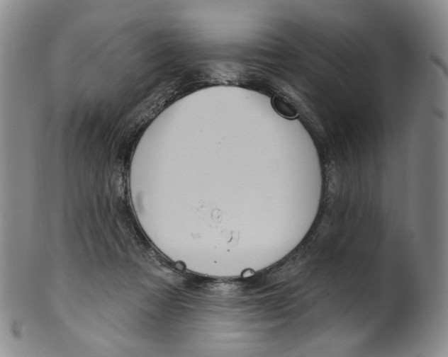 X0000100410313200806271450