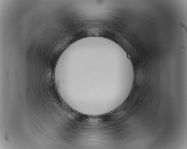 X0000100410314200806271450