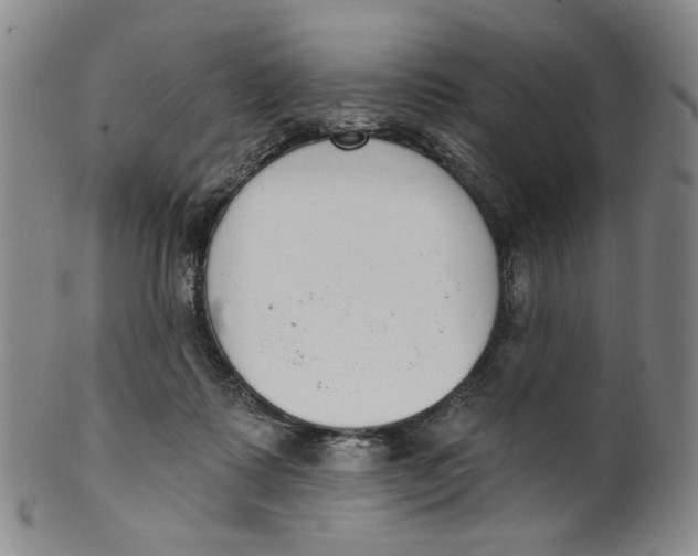 X0000100410315200806271450